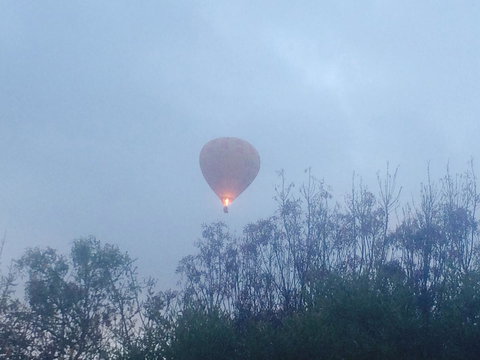 Australian Home Away @ Wonga Park Brushy Creek - Sydney Resort 21