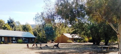 Grampians Pomonal Cottages - Sydney 4u 6