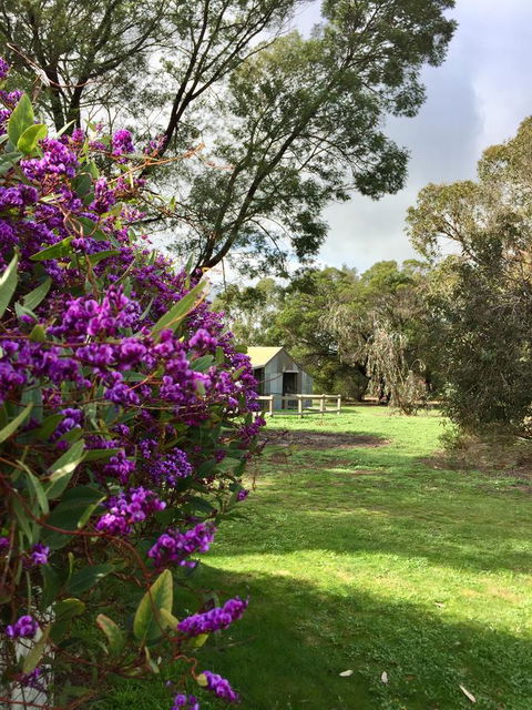 Grampians Pomonal Cottages - Sydney 4u 21