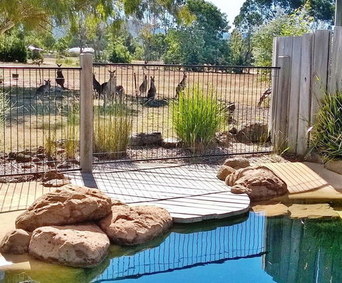 Grampians Pomonal Cottages - Sydney 4u 24