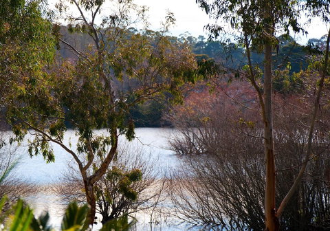 Lake Como Villa - Sydney Resort 10