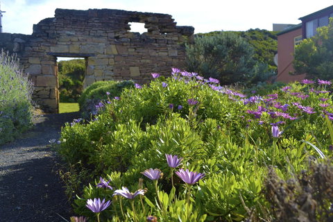 Cape Bridgewater Seaview Lodge - Accommodation Sydney 5
