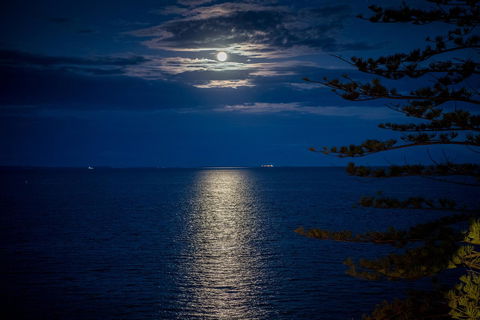The Sebel Brisbane Margate Beach - Sydney 4u 31