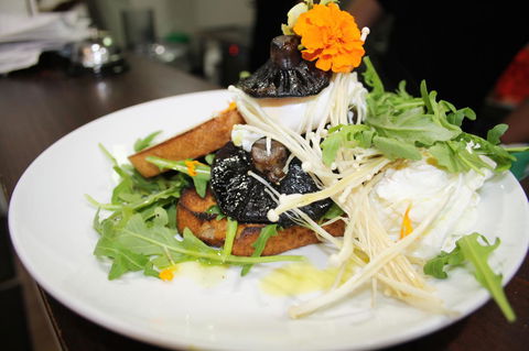 10 Hastings Street Motel - Sydney 4u 29