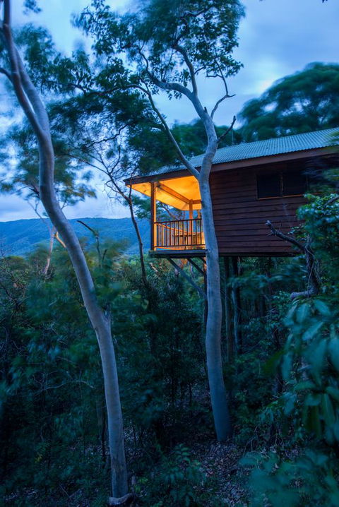 Thala Beach Nature Reserve - Accommodation Sydney 19