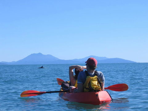 Thala Beach Nature Reserve - Accommodation Sydney 44