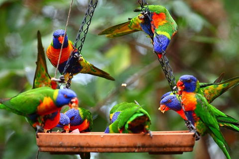 Thala Beach Nature Reserve - Accommodation Sydney 43