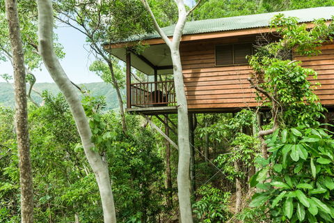 Thala Beach Nature Reserve - Accommodation Sydney 17