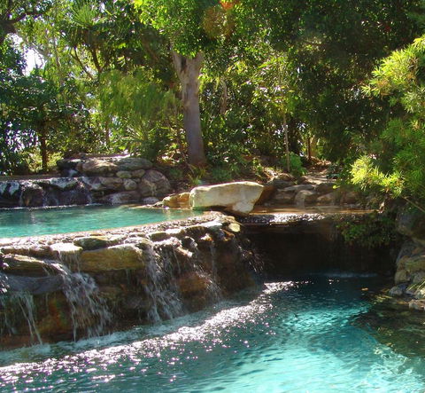 Thala Beach Nature Reserve - Accommodation Sydney 29