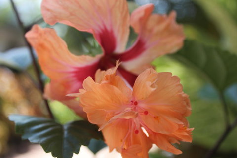 Amaroo On Mandalay, Magnetic Island - Accommodation Sydney 34