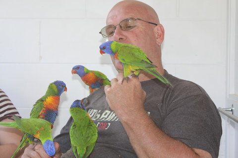 Amaroo On Mandalay, Magnetic Island - Accommodation Sydney 33