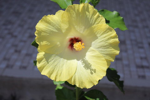 Amaroo On Mandalay, Magnetic Island - Accommodation Sydney 43