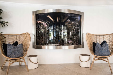 Tingirana Noosa - Sydney 4u 29