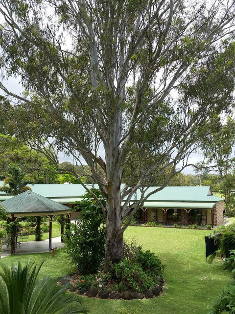 The Bearded Dragon Boutique Hotel - Sydney 4u 32