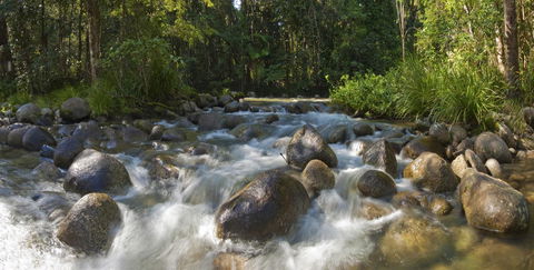 Silky Oaks Lodge - Sydney 4u 20
