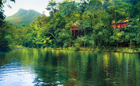 Silky Oaks Lodge - Sydney 4u 8