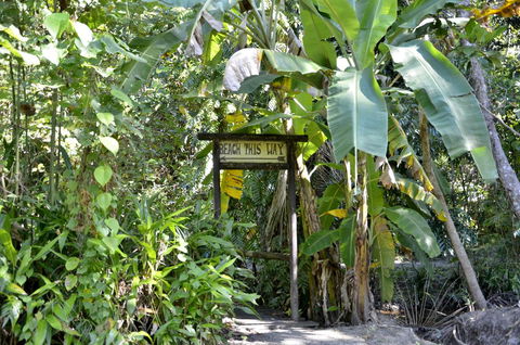 PK\'s Jungle Village - Accommodation Sydney 23