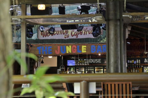 PK\'s Jungle Village - Accommodation Sydney 20