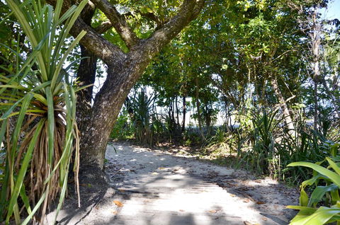 PK\'s Jungle Village - Accommodation Sydney 28