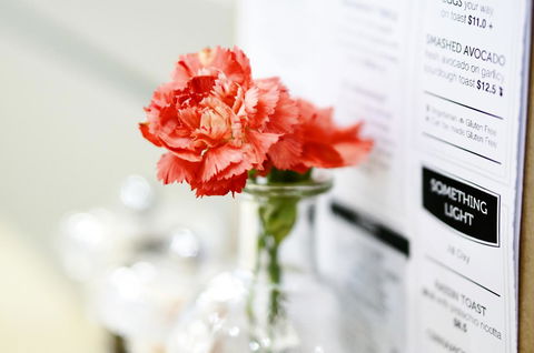 Madison Plaza Townsville - Sydney Resort 20