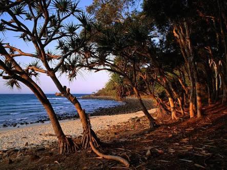 Bayona 1 Little Cove - Sydney 4u 21
