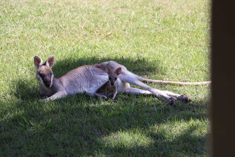 The Hideaway Agnes Water (Adults Only) - Sydney 4u 42