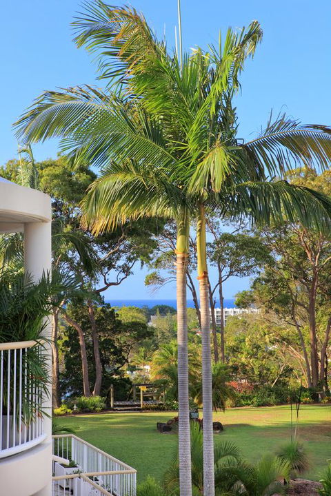 Serenity Apartments Noosa - Sydney 4u 14