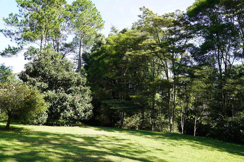 McCarthy Grove Maleny - Accommodation Sydney 2