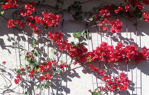 Gaia On Bribie Island - Accommodation Sydney 35