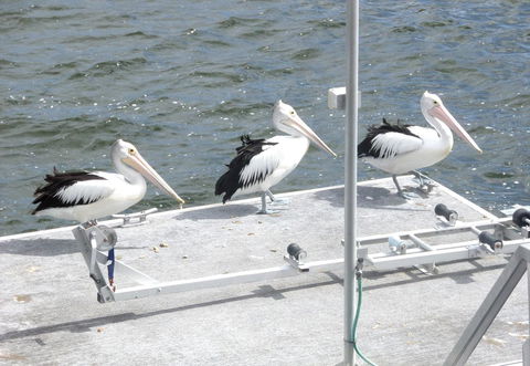 Gaia On Bribie Island - Accommodation Sydney 40