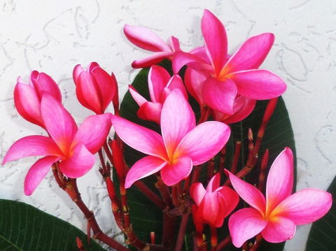 Gaia On Bribie Island - Accommodation Sydney 31