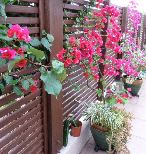 Gaia On Bribie Island - Accommodation Sydney 43