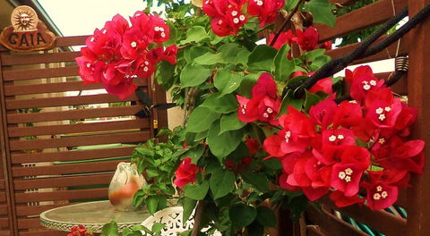 Gaia On Bribie Island - Accommodation Sydney 26