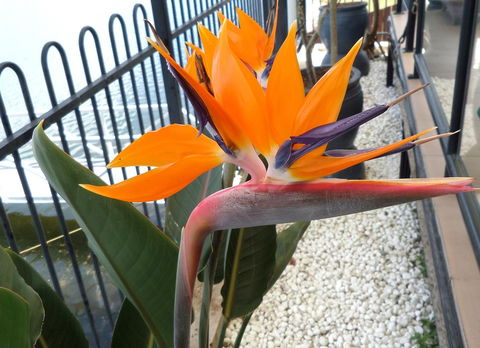 Gaia On Bribie Island - Accommodation Sydney 24