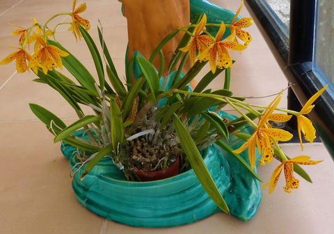 Gaia On Bribie Island - Accommodation Sydney 44