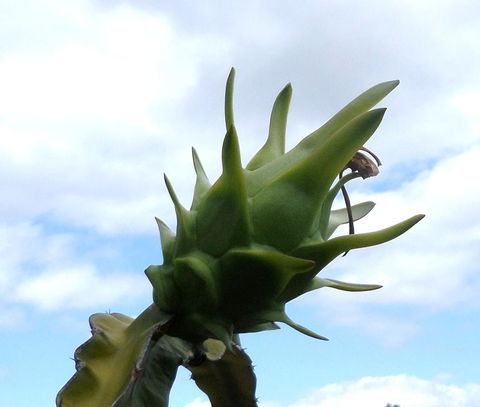 Gaia On Bribie Island - Accommodation Sydney 22