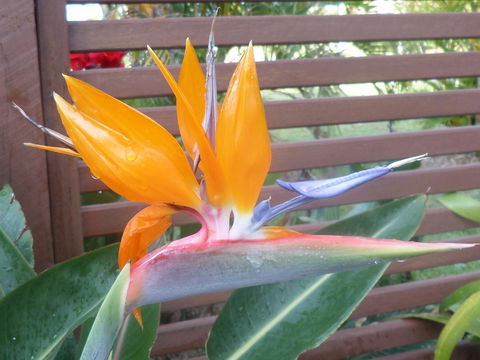 Gaia On Bribie Island - Accommodation Sydney 38