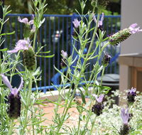 Surfers Beach Resort One - Accommodation Sydney
