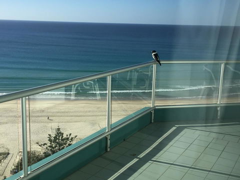 Ocean Plaza Resort - Sydney 4u 28