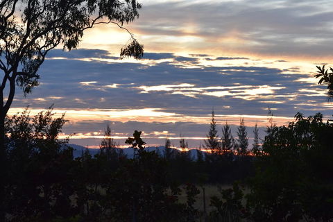 Ironbark House - Sydney 4u 40