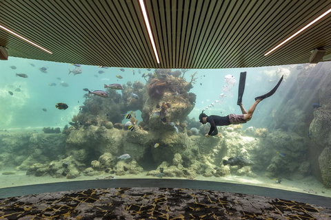 Daydream Island Resort - Accommodation Sydney 28