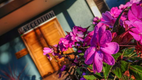 Blue Summit Hideaway - Sydney 4u 33
