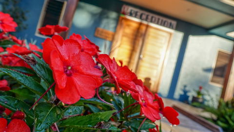 Blue Summit Hideaway - Sydney 4u 1