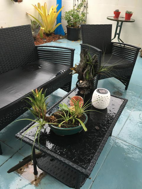 Black Marlin Motel - Sydney 4u 3
