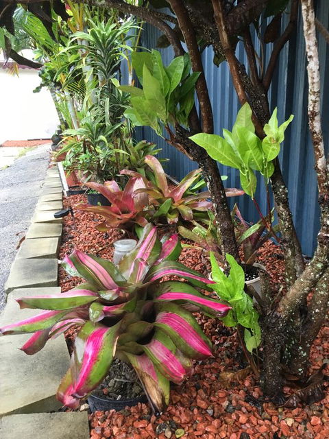 Black Marlin Motel - Sydney 4u 20