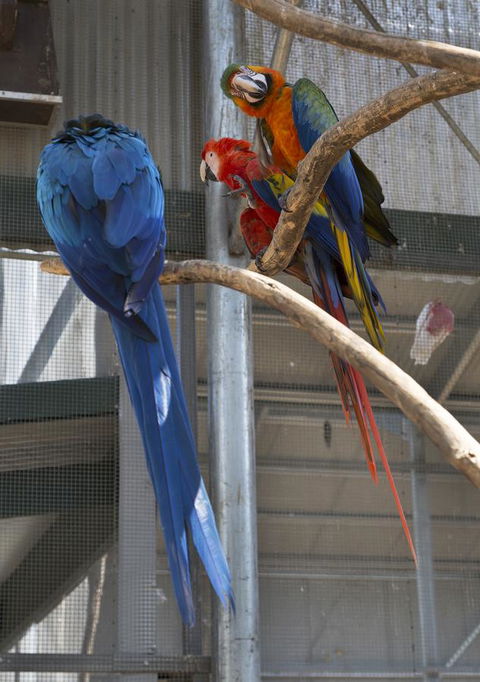 Bower 63 - Accommodation Sydney 35