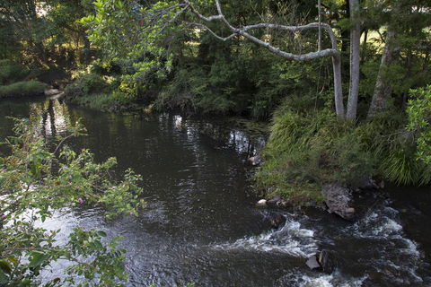 Bower 63 - Accommodation Sydney 23