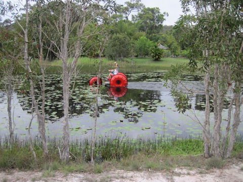 1770 Southern Cross Travellers Retreat - Sydney 4u 16