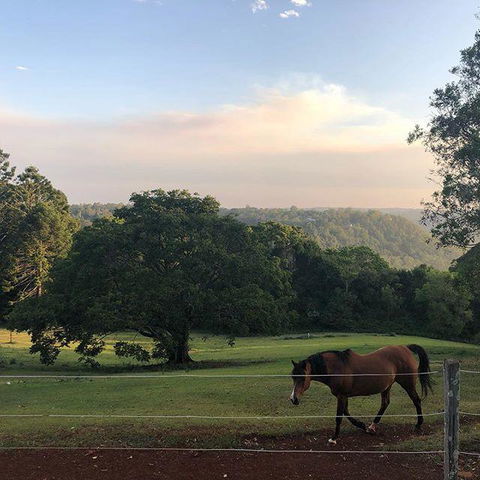Montville Holiday Apartments - Sydney 4u 3