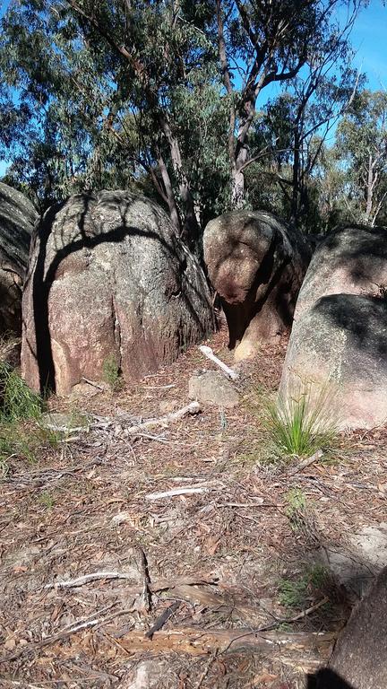 Windswept Country Retreat - Accommodation Sydney 3
